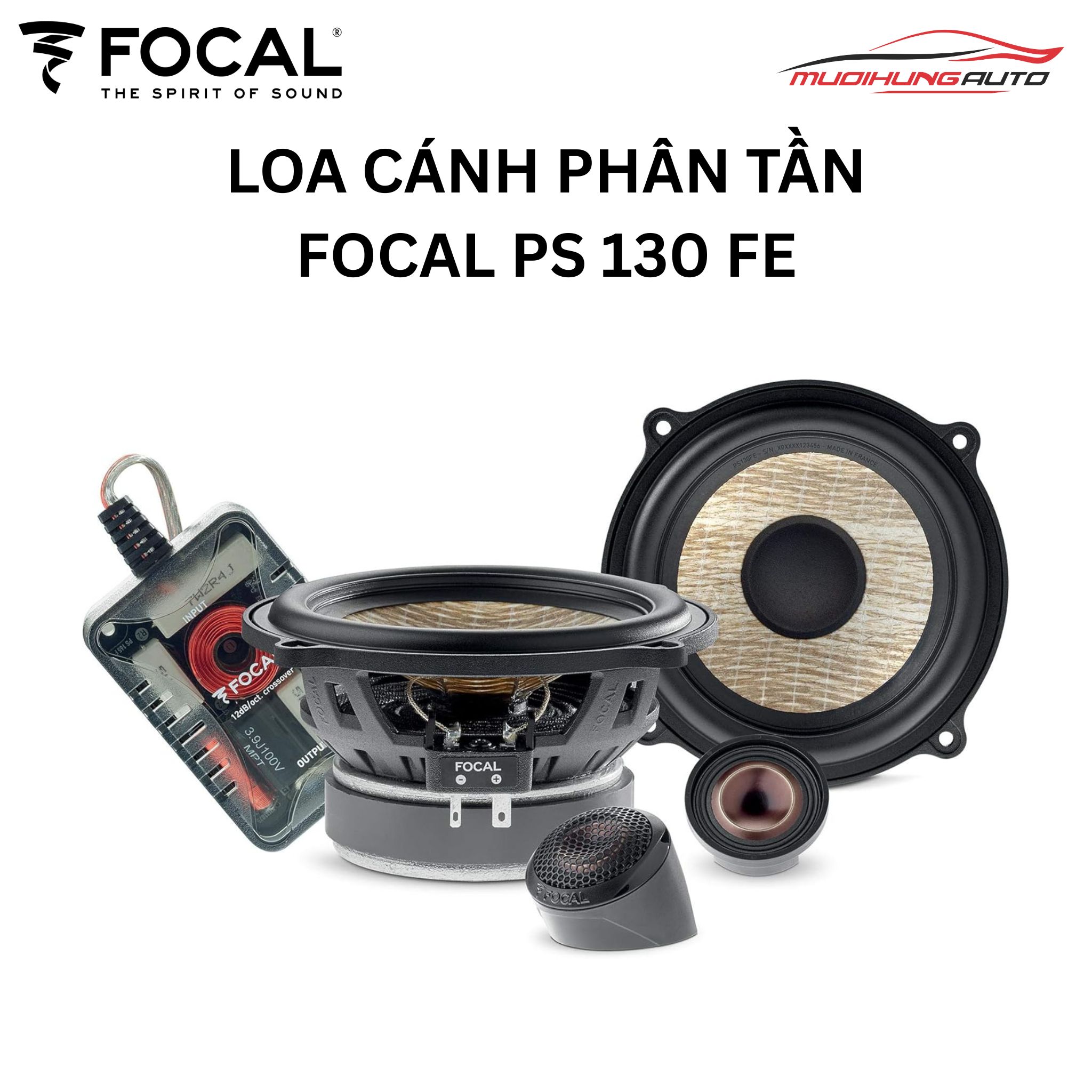 Loa cánh phân tần Focal PS 130 FE