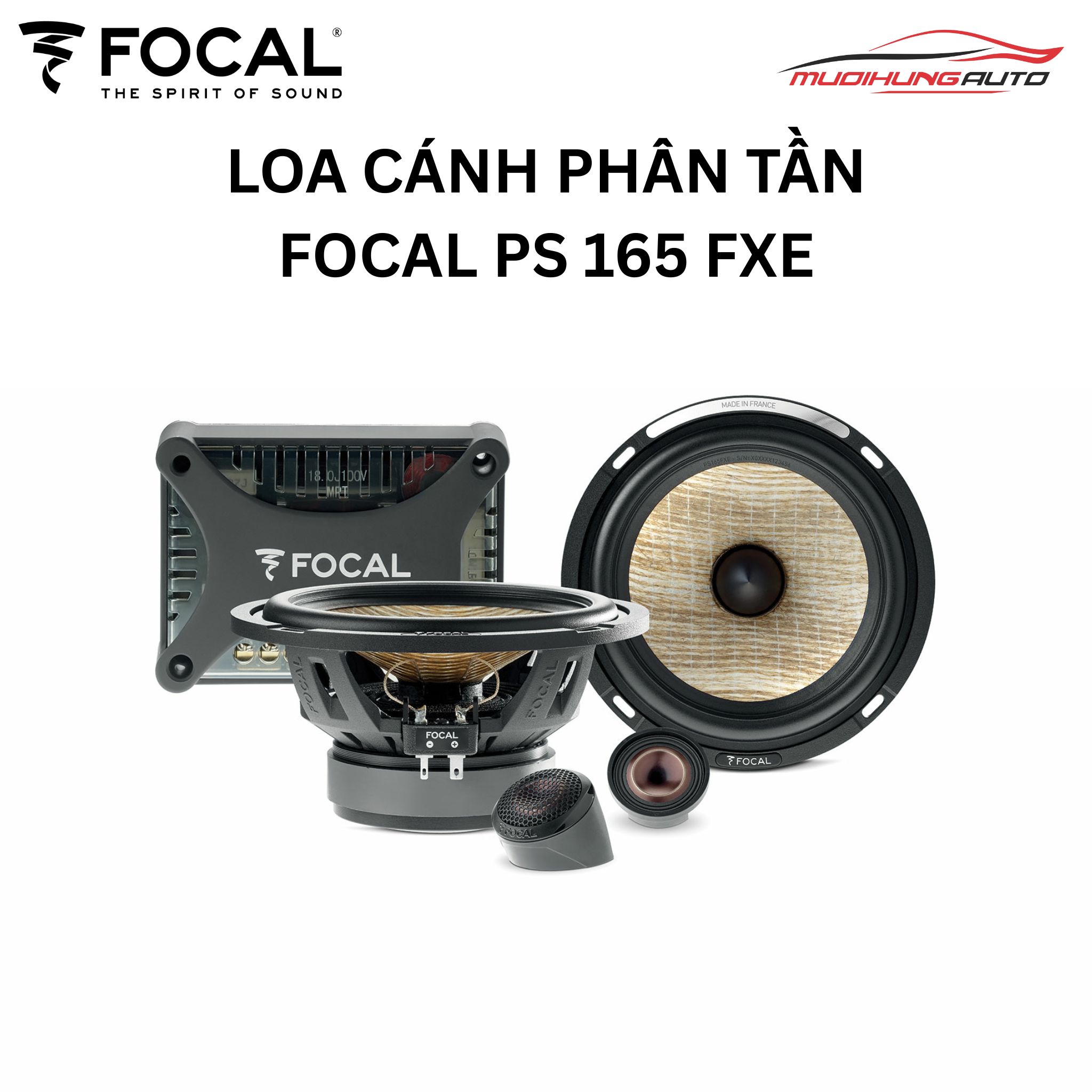 Loa cánh phân tần Focal PS 165 FXE