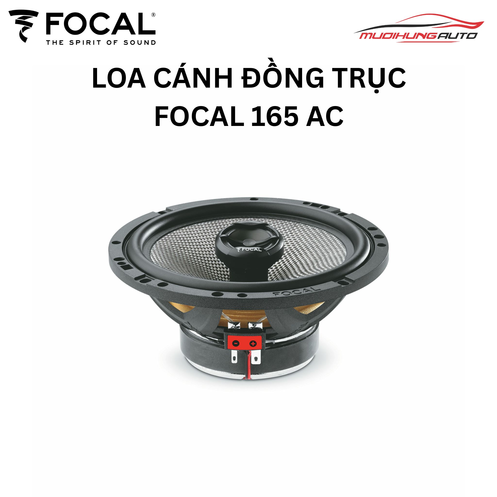 Loa Focal 165 AC