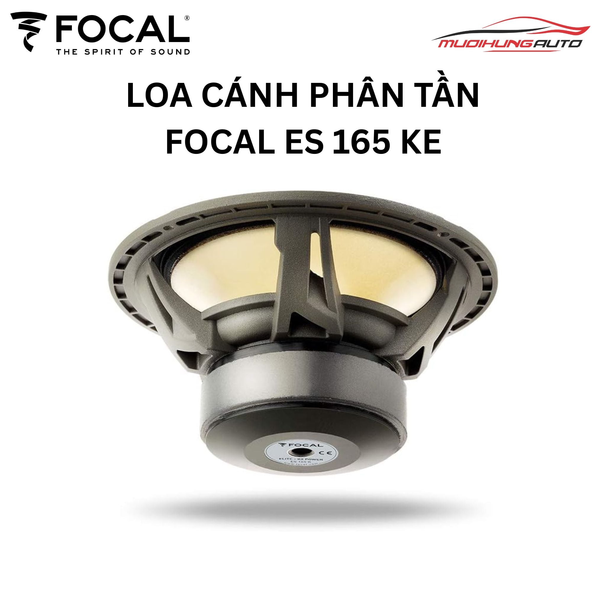 Loa Focal ES 165 KE