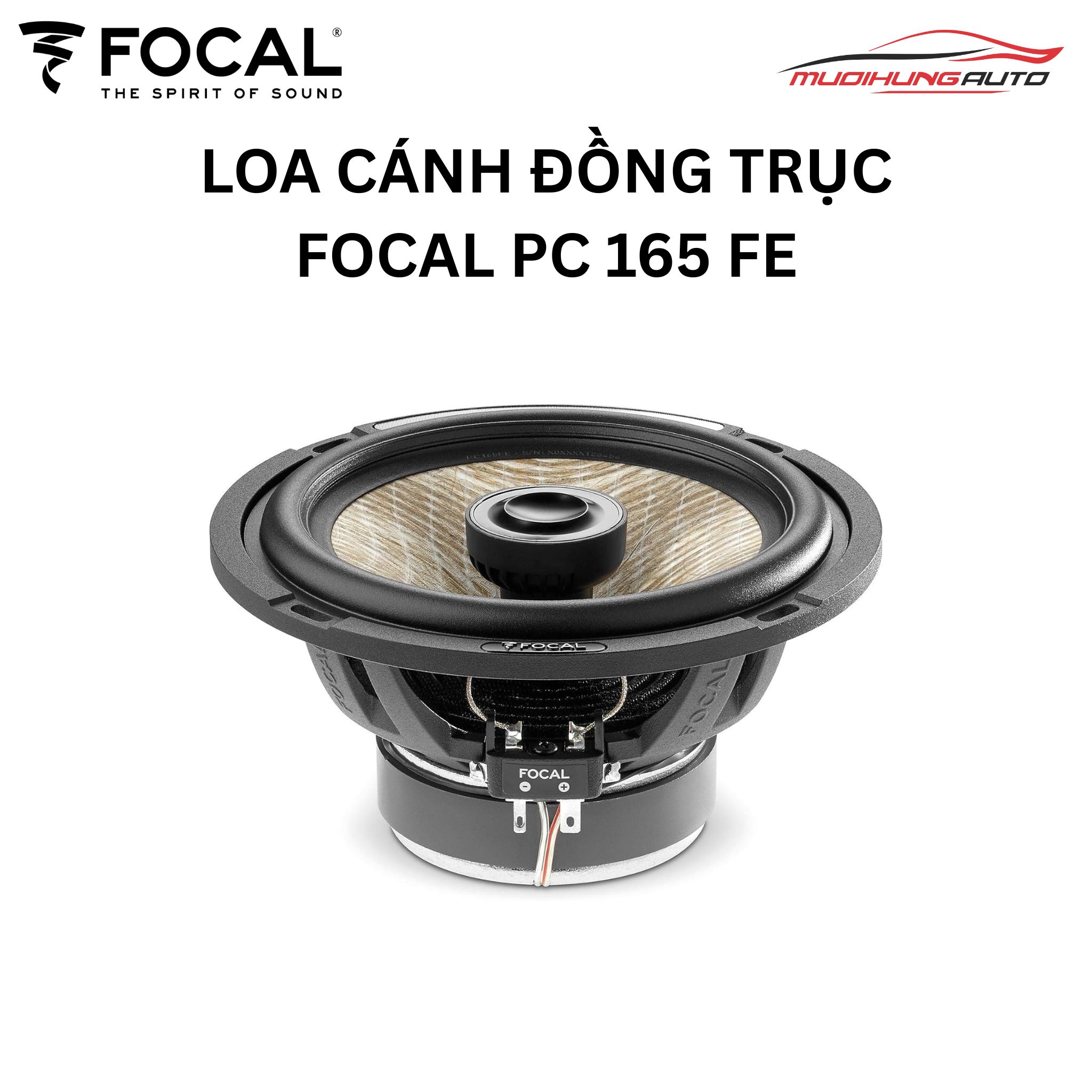 Loa Focal PC 165 FE