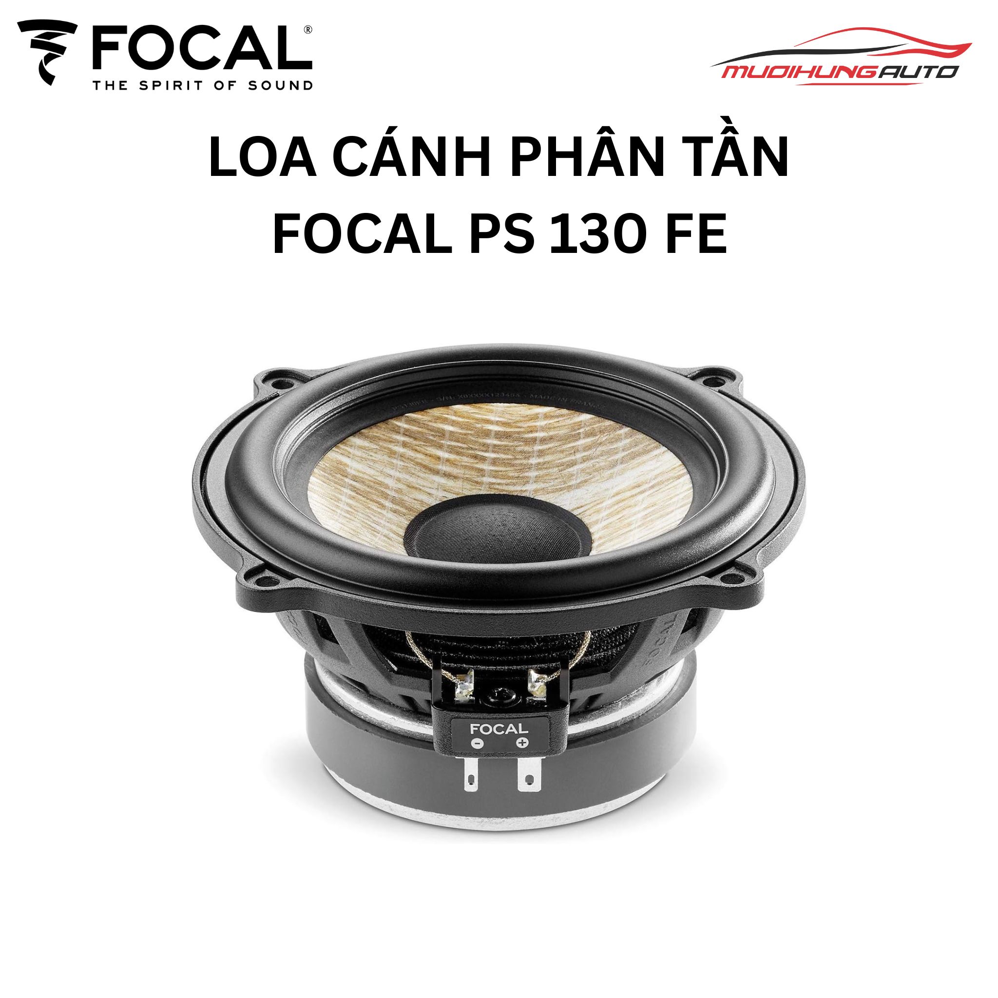 Loa Focal PS 130 FE