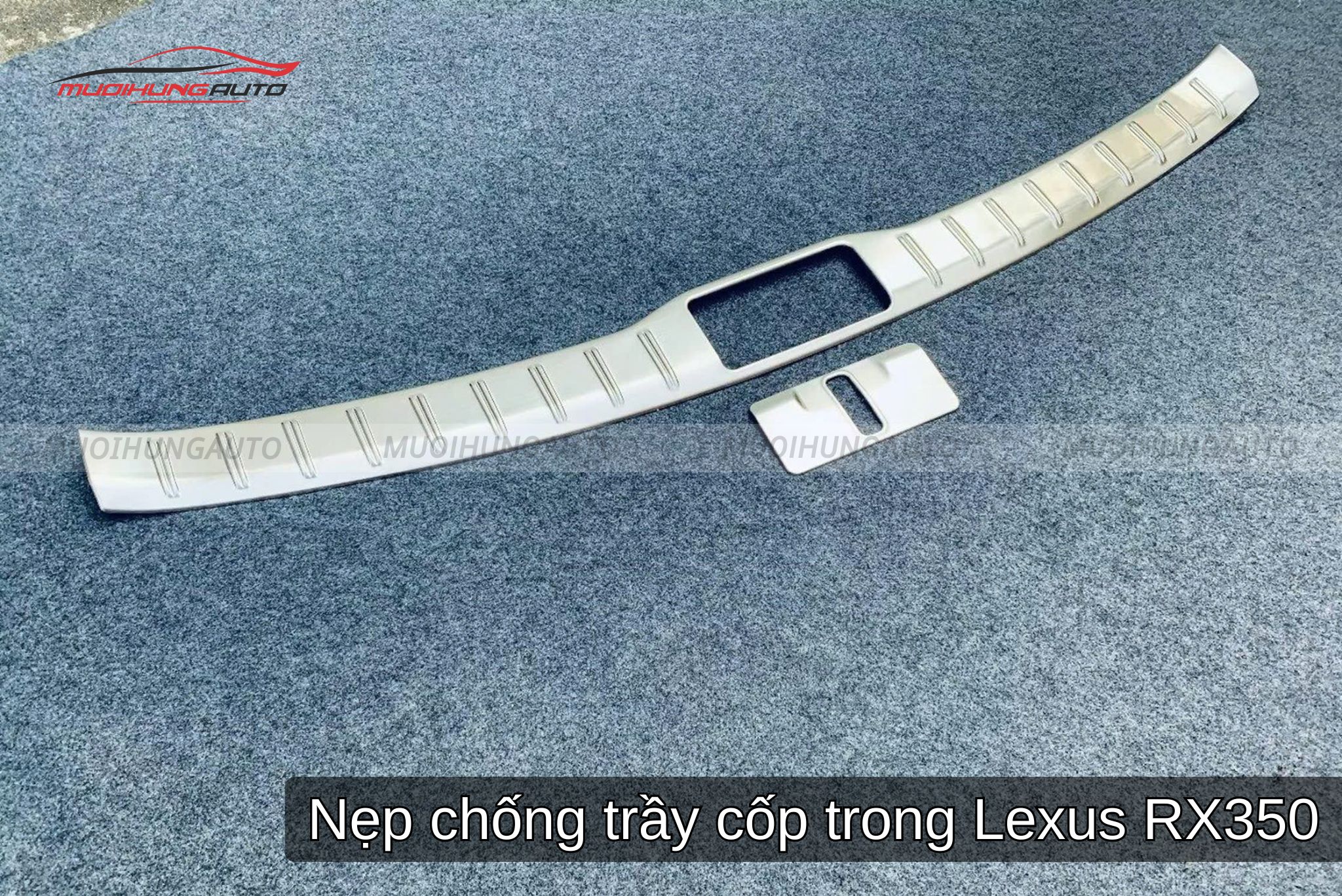 Phụ Kiện Cho xe Lexus RX350