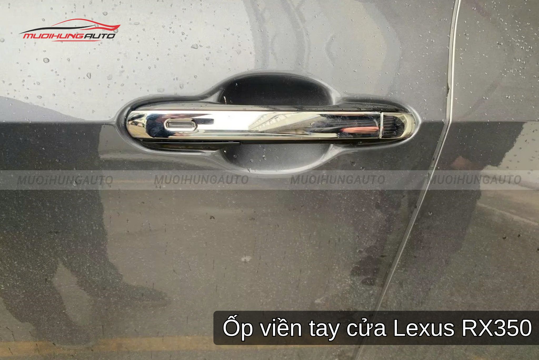 Phụ Kiện Cho xe Lexus RX350