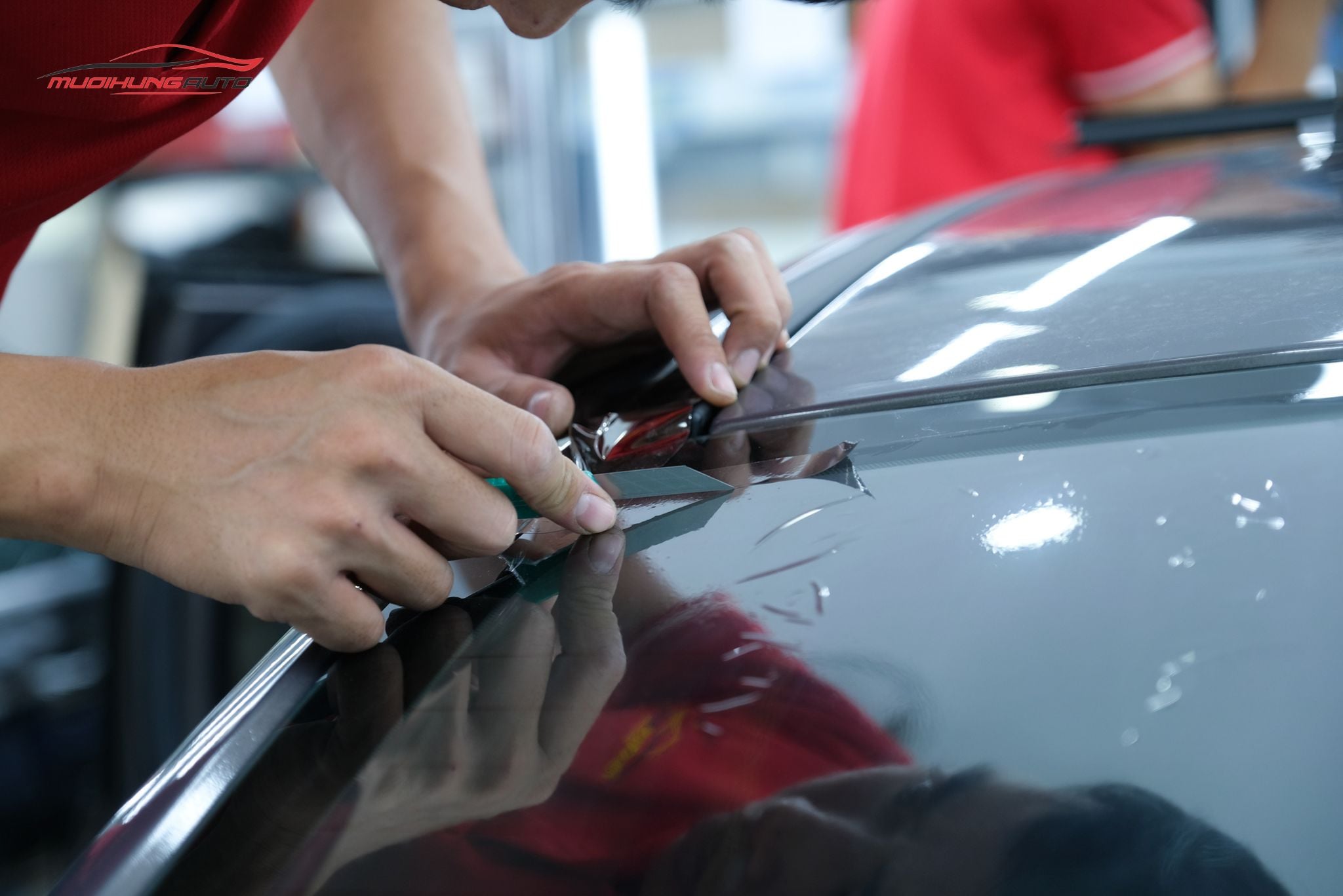 Phim cách nhiệt 3M cho Ford Focus