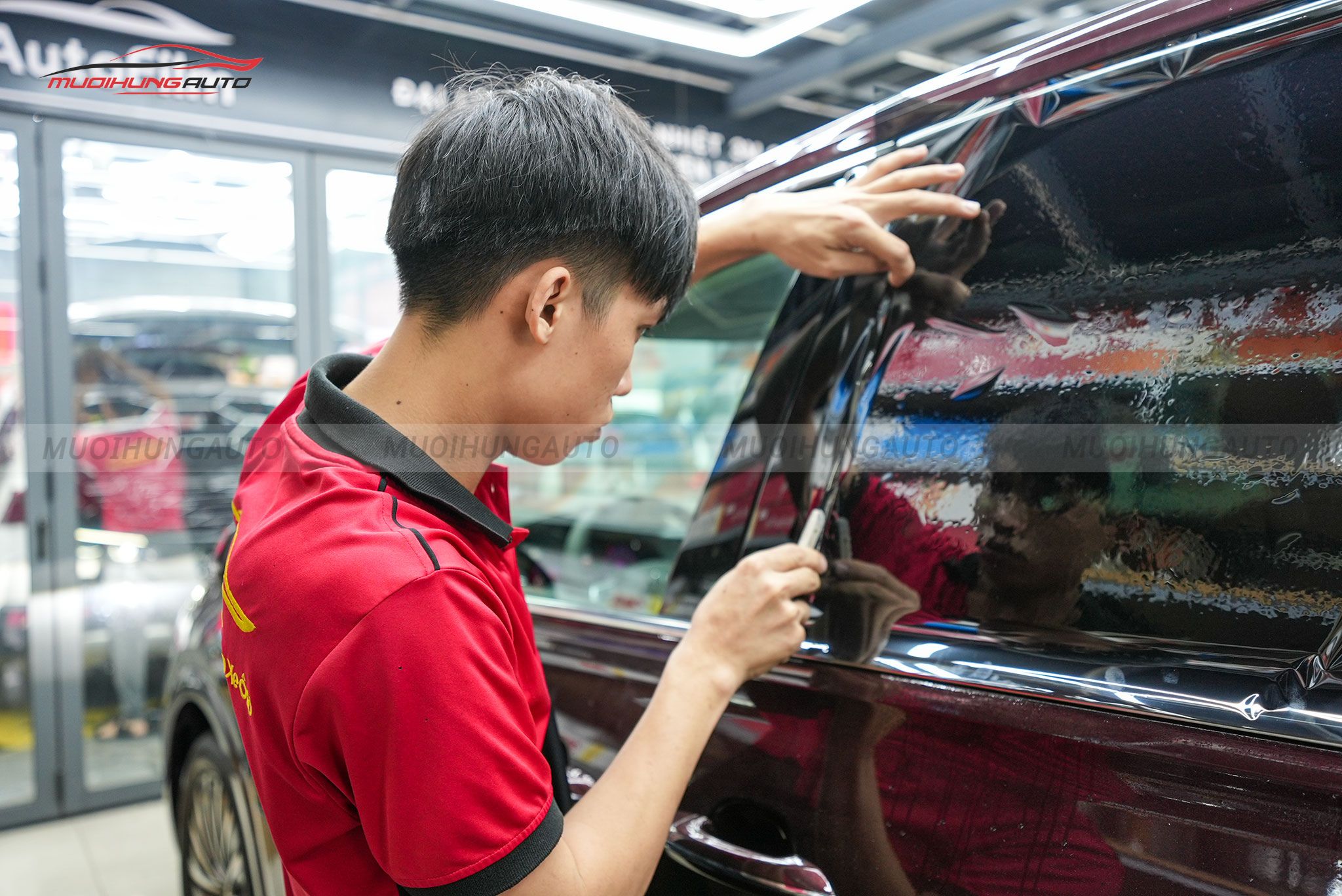 Phim cách nhiệt 3M xe Volkswagen Viloran 2024