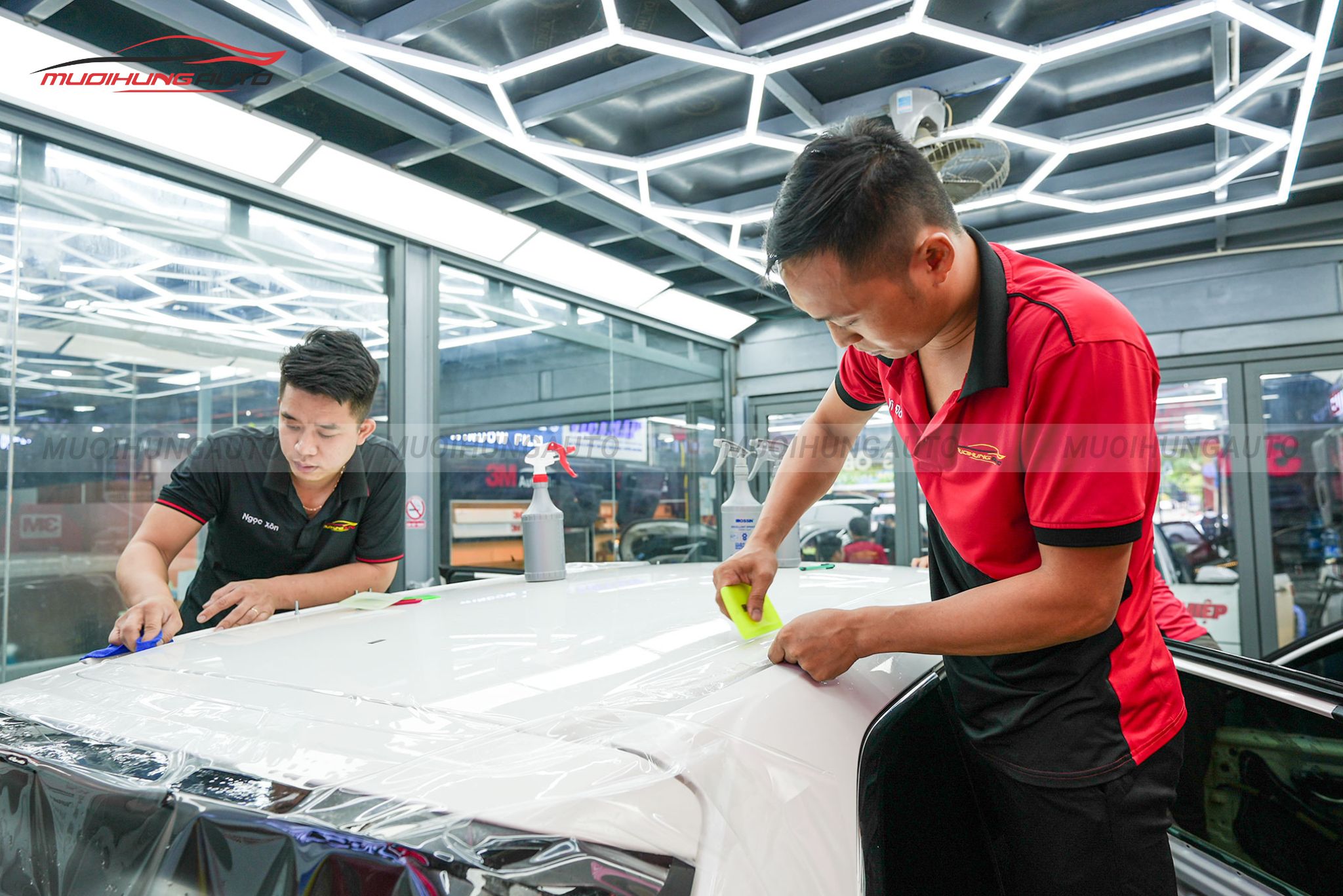 Phim PPF Ppro Plus cho xe Honda CRV