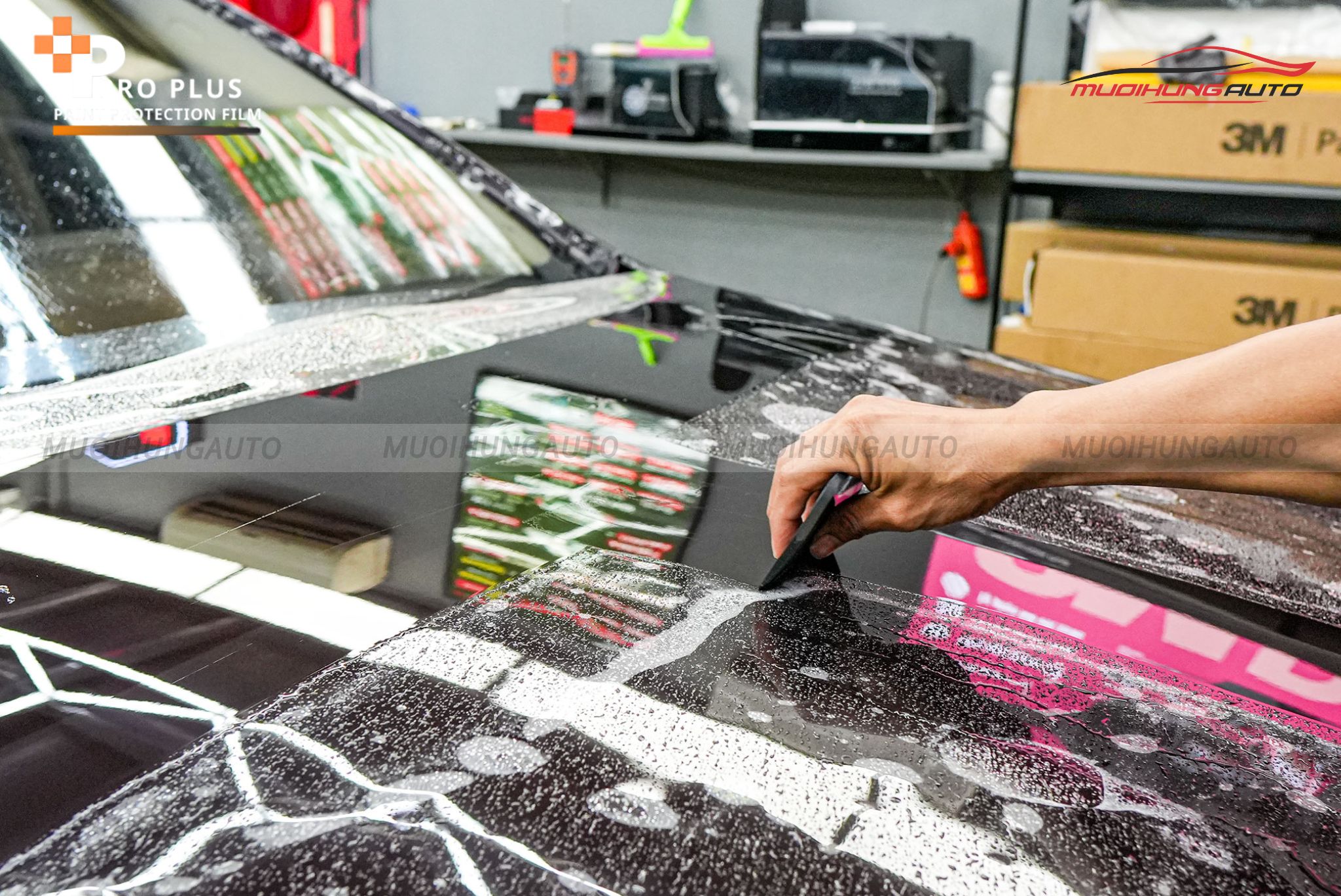 Phim PPF Ppro Plus ô tô 4 chỗ