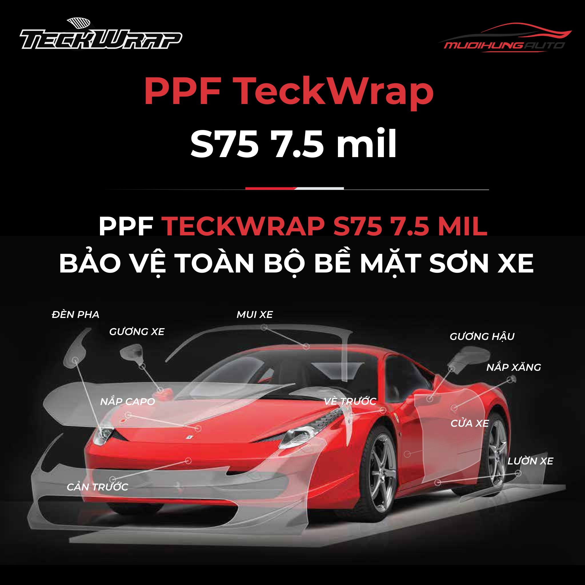 Phim PPF TeckWrap S75 7.5 mil