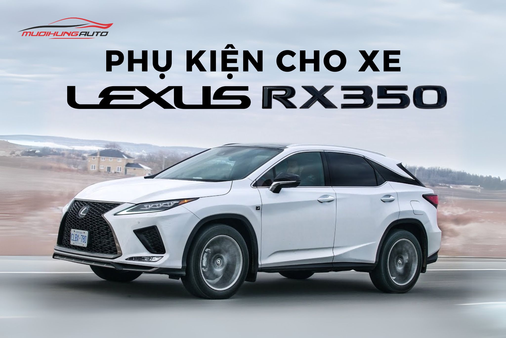 Phụ Kiện Cho xe Lexus RX350