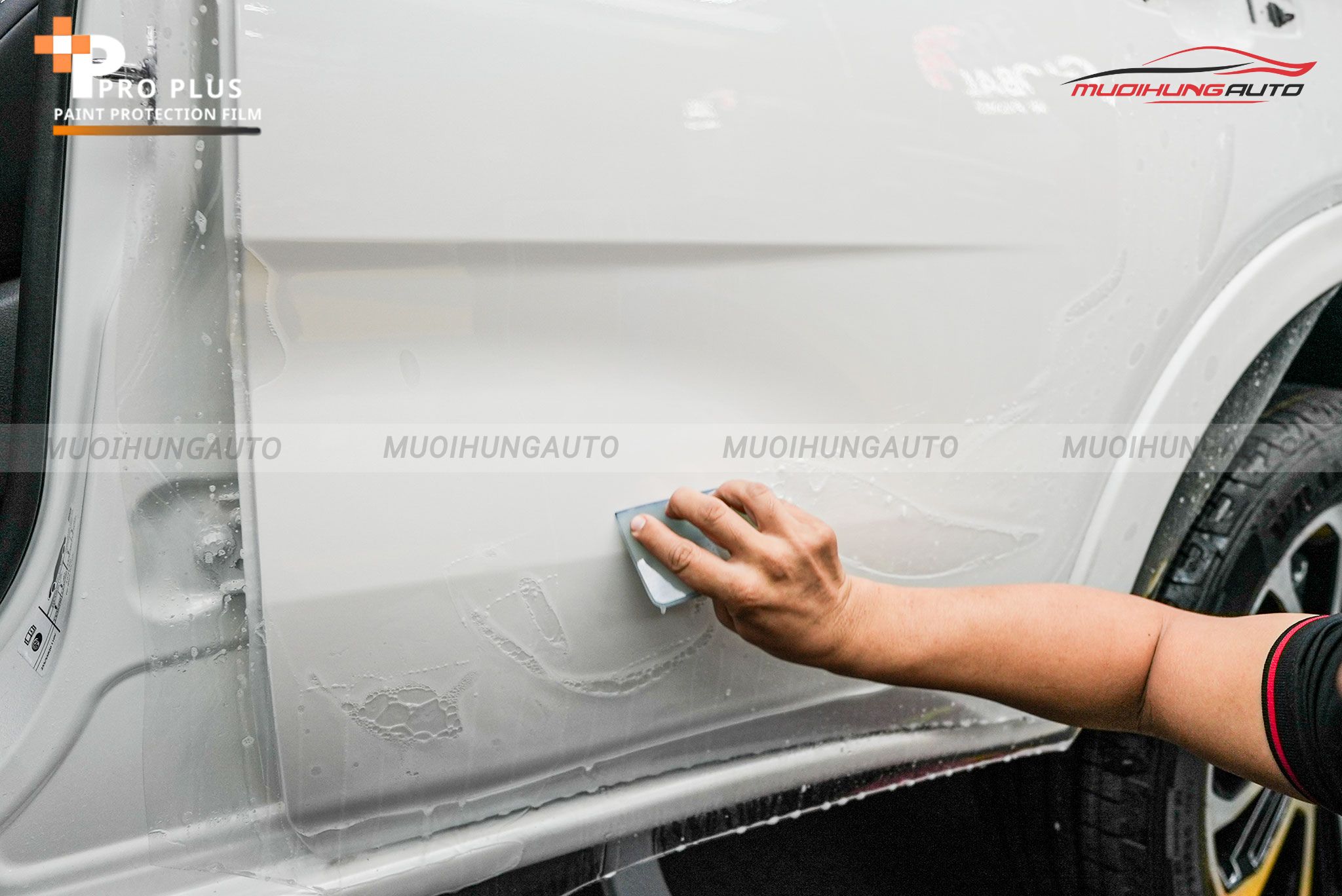 PPF Ppro Plus TPU-G8 8.5 PPF LUXURY dán xe hơi