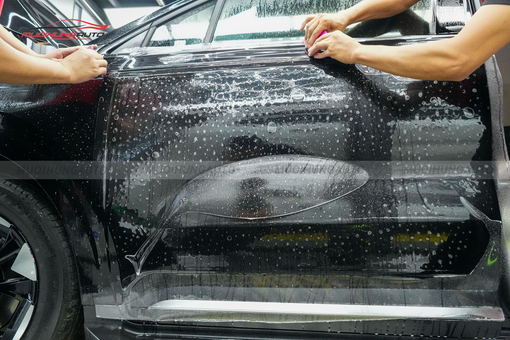 PPF Zappa cho Kia Carnival 2025