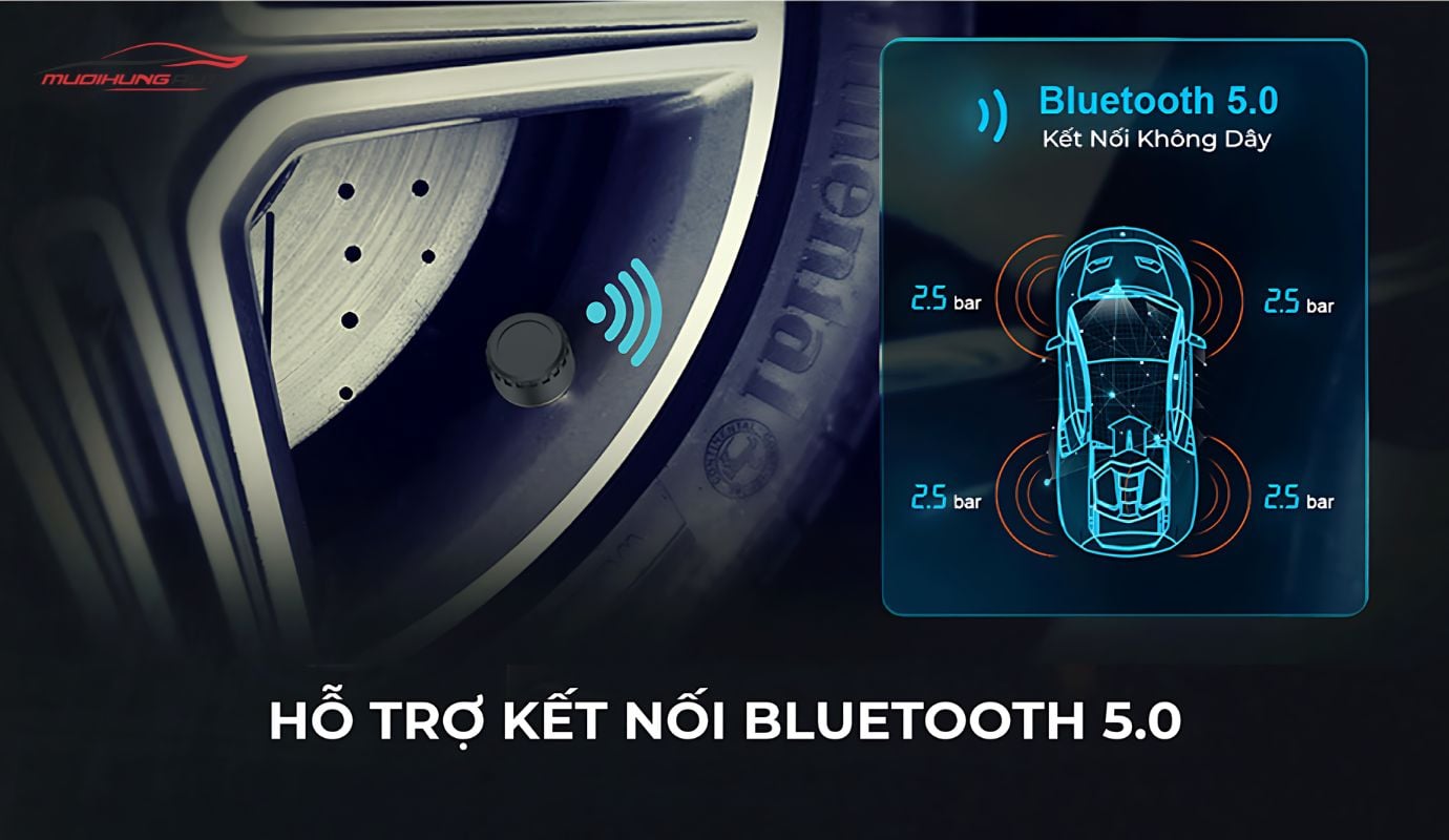 TPMS Vietmap BT10 van ngoài