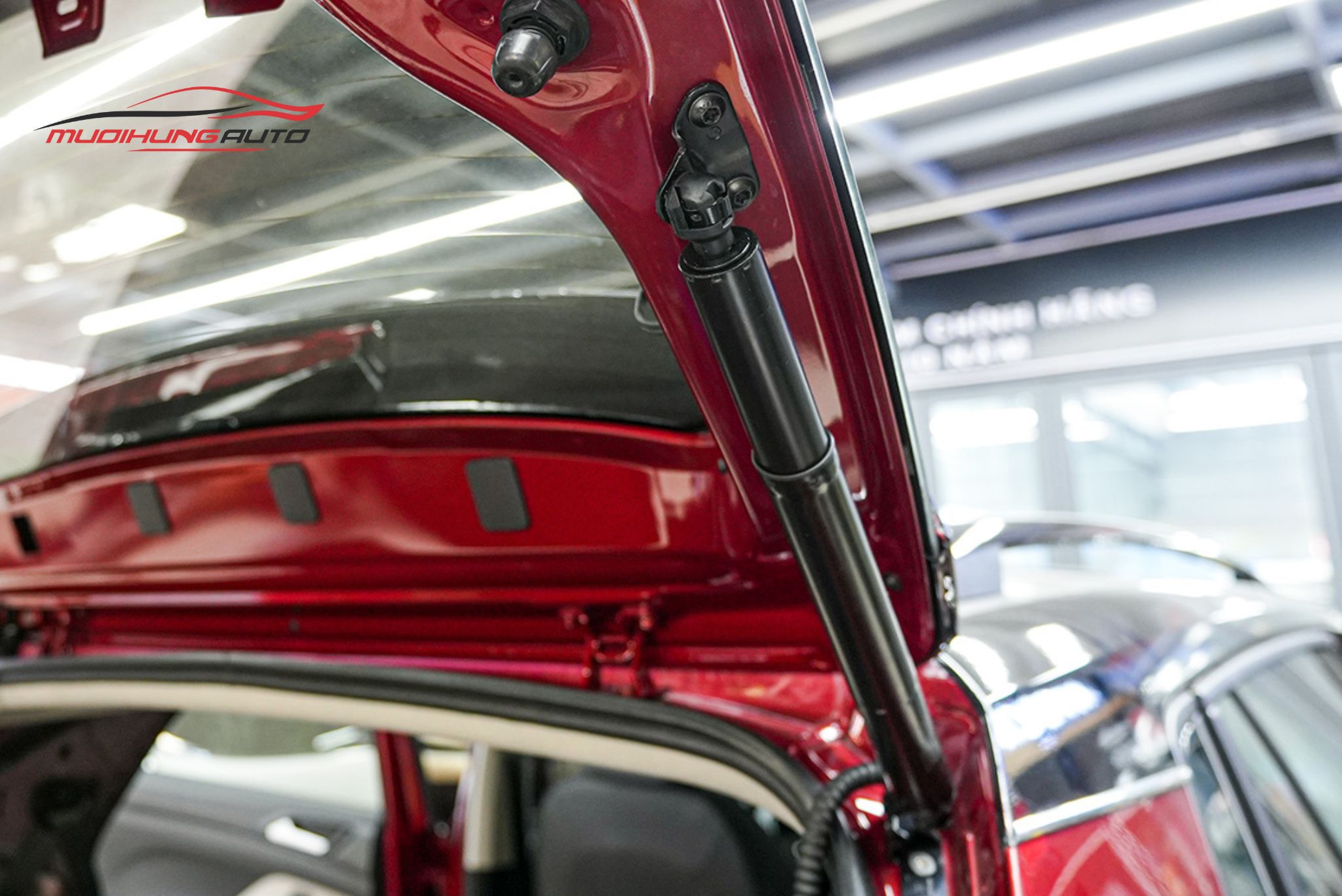 Ty cốp điện xe hơi Volkswagen T-Cross