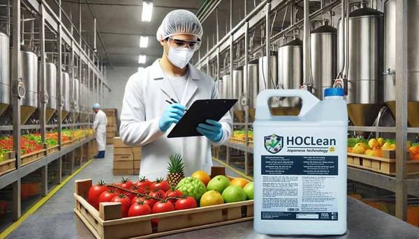 HOCLean khử trùng thực phẩm