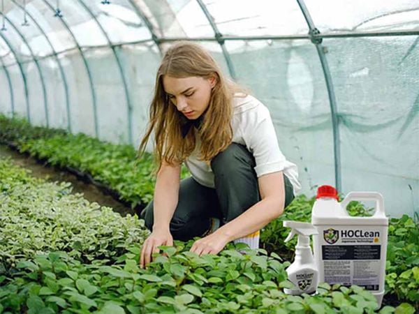 axit hypochlorous nông nghiệp