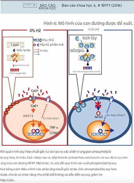 tiềm năng hydrogen