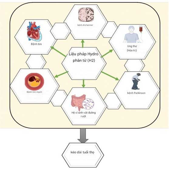 Hydro chống lão hóa