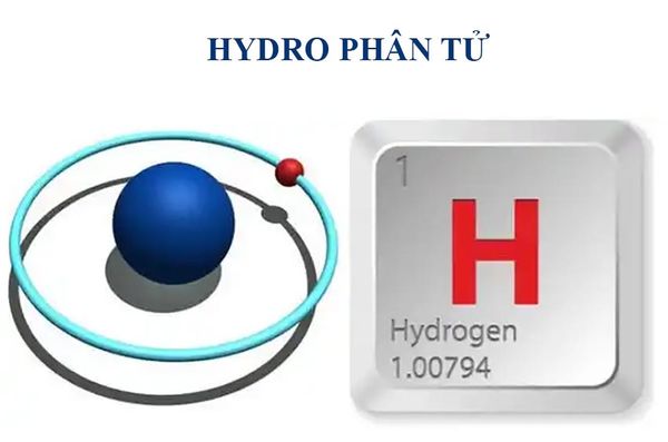 hydro phân tử