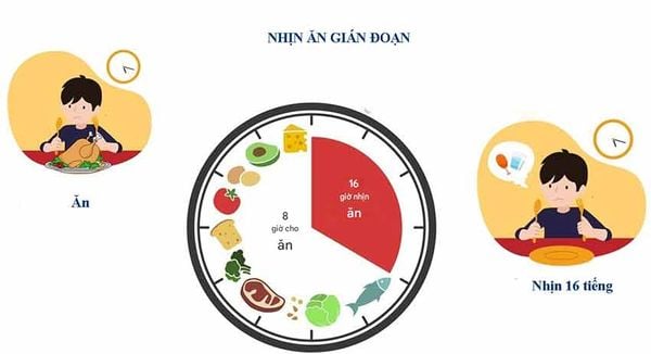 Tự thực: Cơ chế tái chế tế bào được kích hoạt bởi nhịn ăn gián đoạn