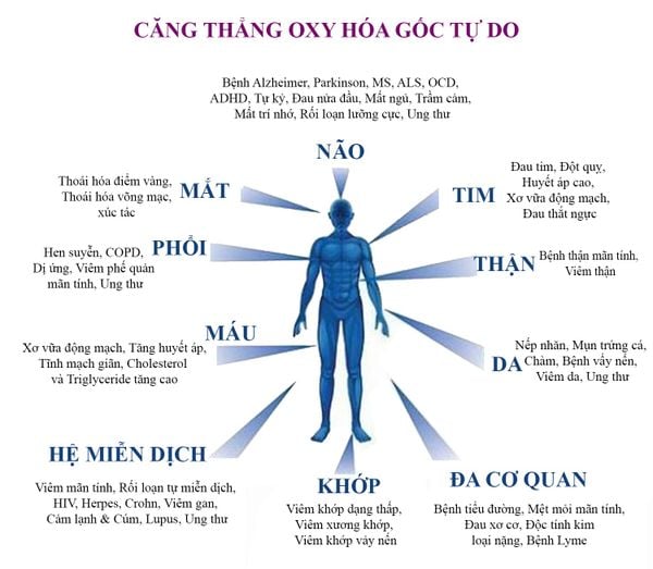 stress oxy hóa