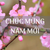 VOVE CHÚC MỪNG NĂM MỚI 2024