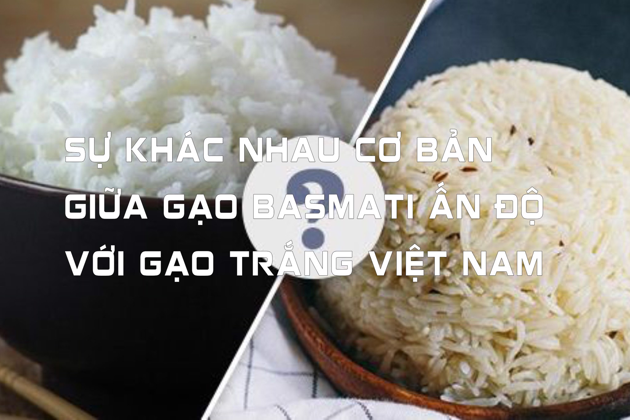 Sự khác nhau cơ bản giữa gạo basmati Ấn Độ với gạo trắng Việt Nam