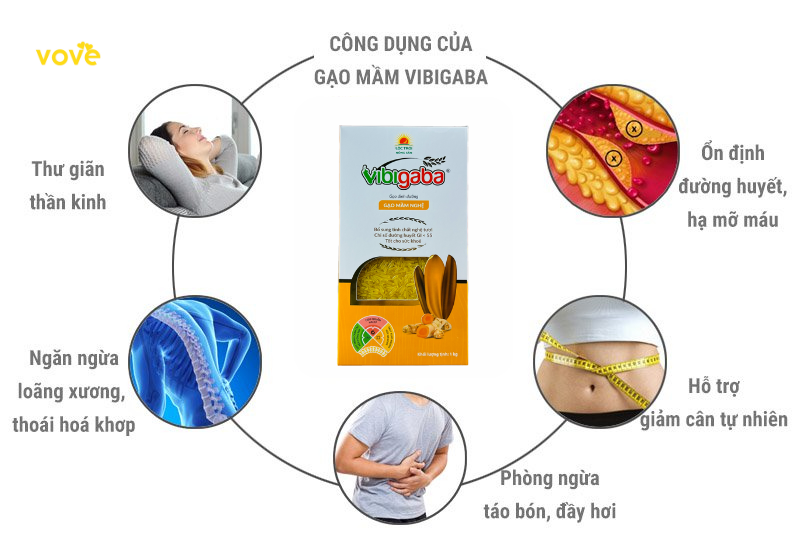 khám phá 5 công dụng tuyệt vời từ gạo mầm vibigaba