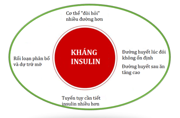 Kháng Insulin
