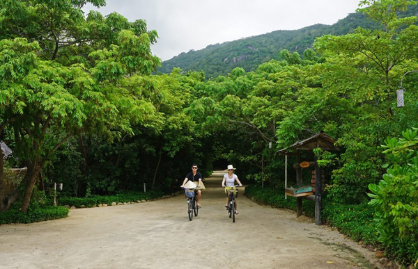 DÀNH CHO NHỮNG BẠN ĐÃ THẤT TÌNH, ĐANG THẤT TÌNH, VÀ SẼ THẤT TÌNH.