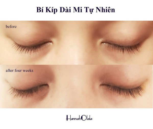 BẠN NÀO MI CỤT, MI NGẮN MUỐN DÀI TỰ NHIÊN THÌ ĐỌC NHA!