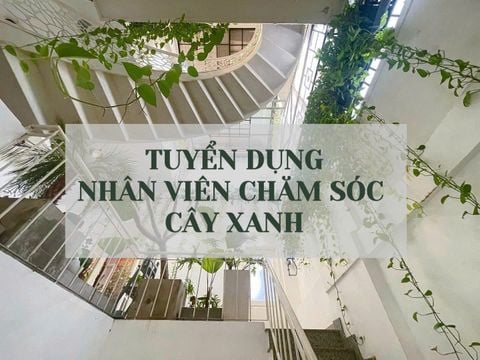 NHÂN VIÊN CHĂM SÓC VƯỜN CÂY