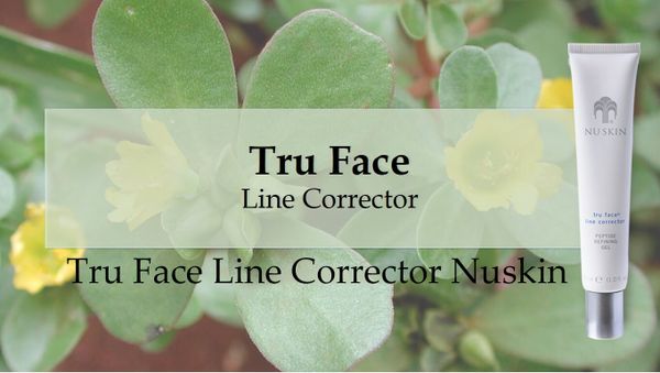 truface line corrector
