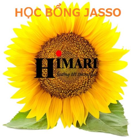 HỌC BỔNG JASSO