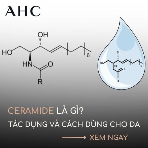 Ceramide là gì? Tác dụng và cách sử dụng Ceramide trong chăm sóc da