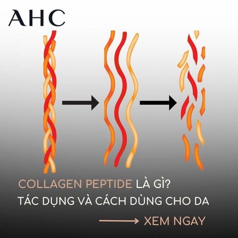 Collagen Peptide là gì? Phân loại, tác dụng và cách sử dụng làm đẹp da