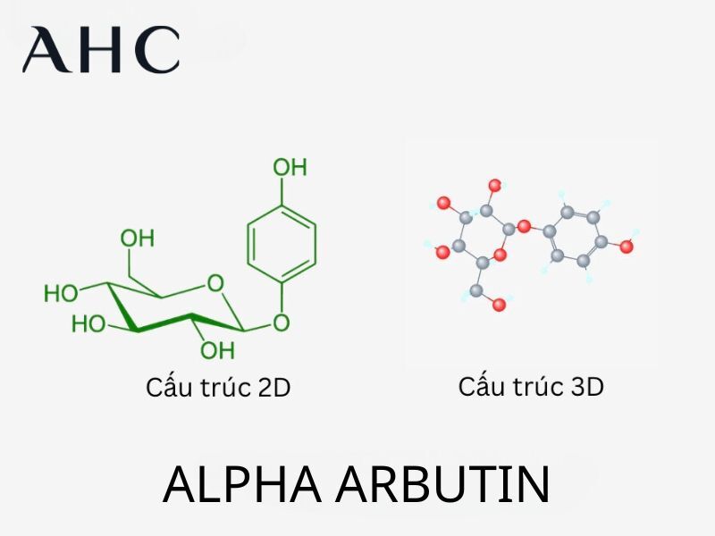 arbutin là gì