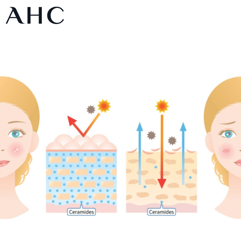 ceramide có tác dụng gì