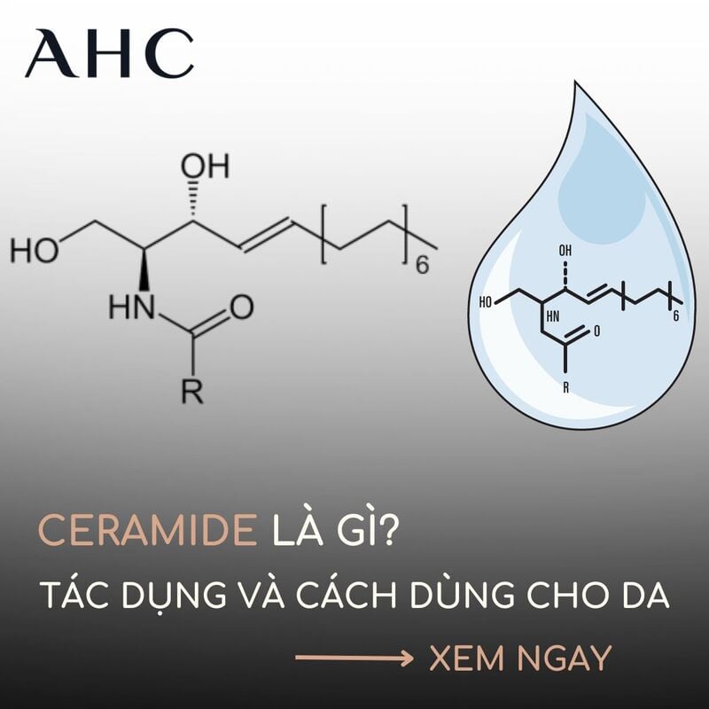 ceramide là gì