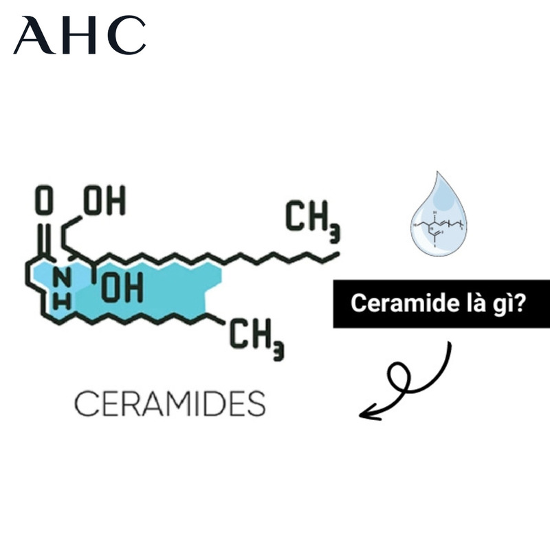 tác dụng của ceramide