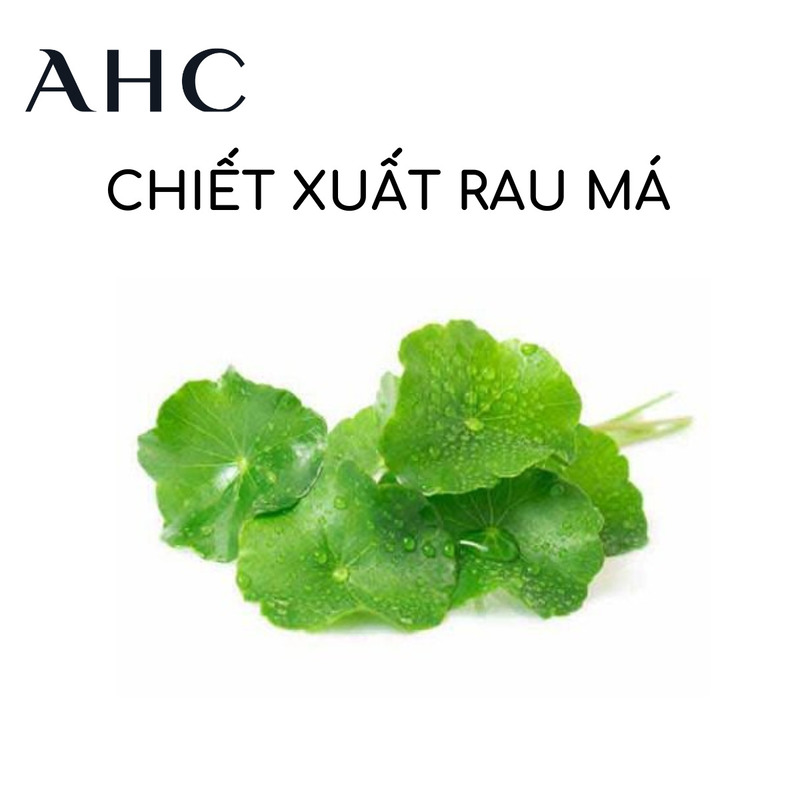 chiết xuất rau má có tác dụng gì