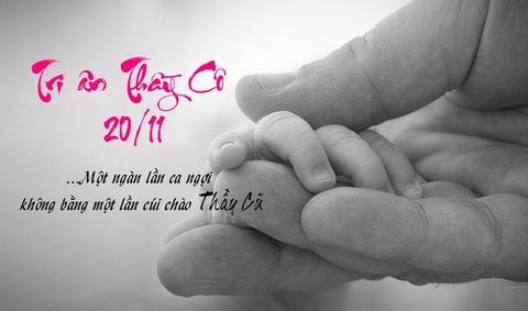 NGUỒN GỐC VÀ Ý NGHĨA NGÀY NHÀ GIÁO VIỆT NAM 20/11