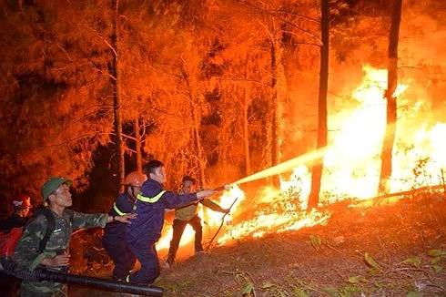 Tổng hợp 70 vẽ tranh cháy rừng mới nhất  Tin Học Vui