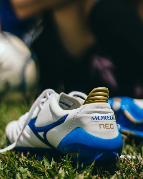 Morelia Neo II 