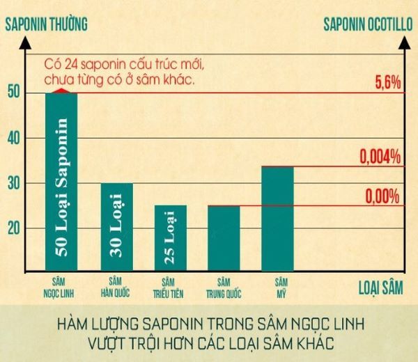 so sánh sâm việt nam và sâm hàn quốc