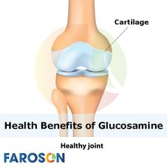 グルコサミンについて知っておくべきこと- Faroson Joints Care 9 in 1
