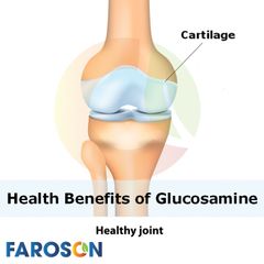 What You Need to Know about Glucosamine - Faroson Joints Care 9 in 1