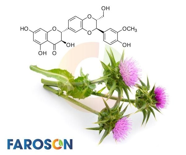 faroson-liver-9-milk-thistle