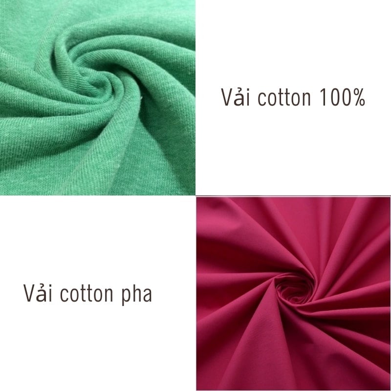 Đồ bộ thun cotton nữ Cardina chất lượng,đa dạng mẫu mã