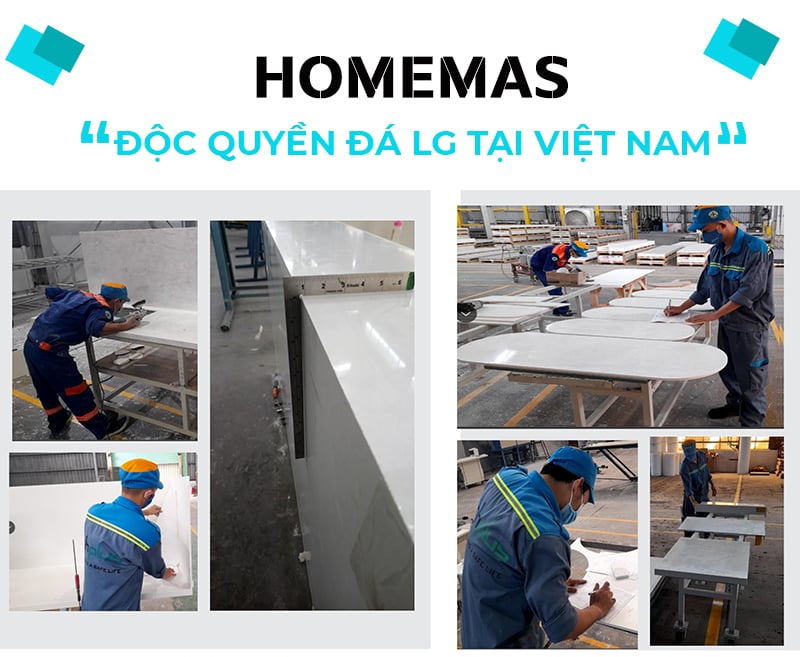 Homemas- Phan phoi doc quyen da LG tai Viet Nam